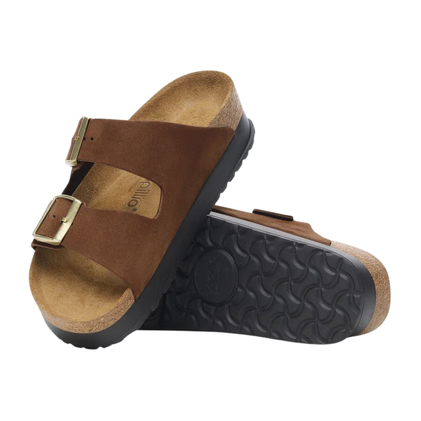 Papillio - Arizona Chunky