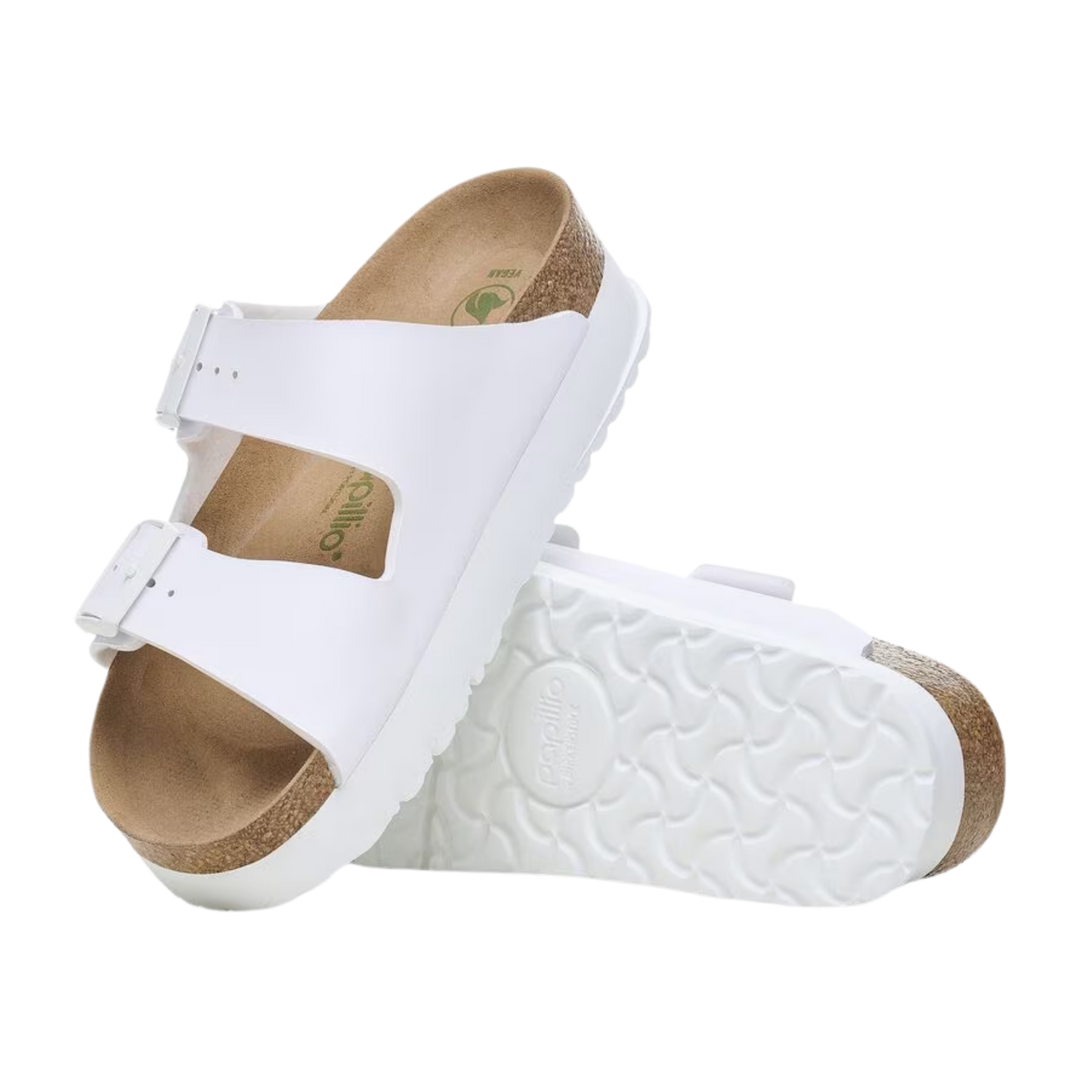 Papillio - Arizona Chunky